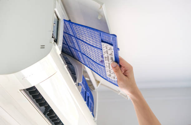 Best Air Duct Mold Removal  in Hubbard, OH